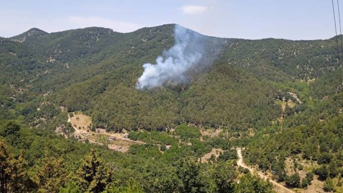 Hatay'da orman yangını