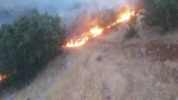 Gerger’de orman yangını. 30 hektarlık alan kül oldu