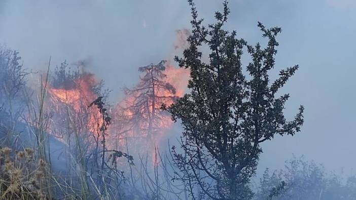 Ankara’da orman yangını. Soğutma çalışmaları devam ediyor