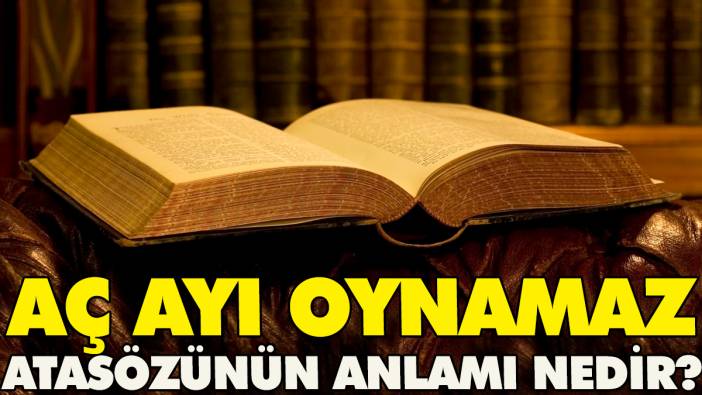 Aç ayı oynamaz atasözünün anlamı nedir?