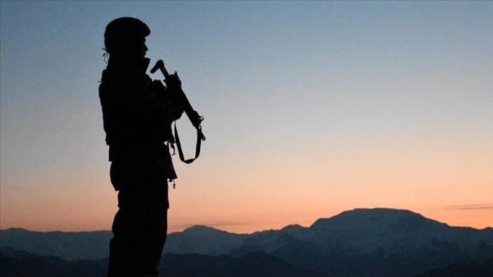 PKK'lı 2 terörist Suriye sınırında yakalandı