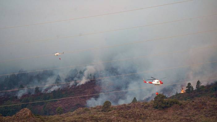 İspanya alev alev yanıyor. Bin 800 hektar orman kül oldu