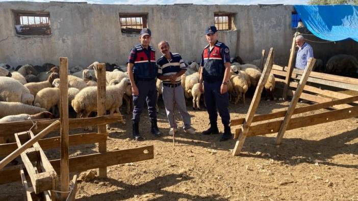 Malatya’da kayıp koyunları jandarma buldu