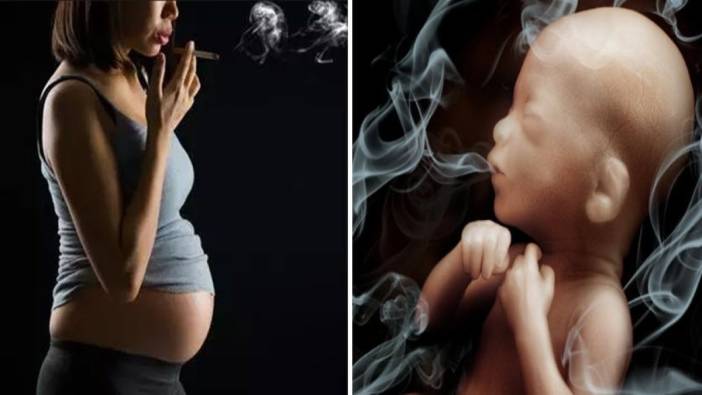 Anne karnındaki bebek sigarayı nasıl algılar