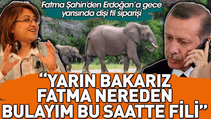 Fatma Şahin'den Erdoğan'a gece yarısında dişi fil siparişi