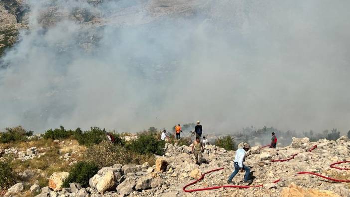 Diyarbakır'da orman yangını