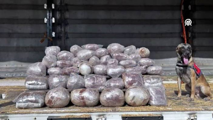 Gaziantep'te 41 kilogram skunk ele geçirildi