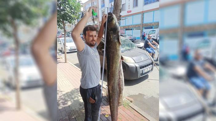Görenler  ‘Maşaallah’ dedi. 2 metrelik dev  yayın balığı yakalandı