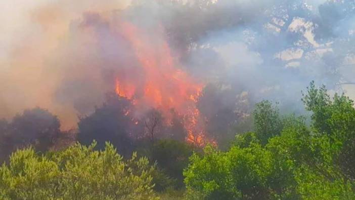 Dedeağaç'taki orman yangıyla ilgili acil durum ilan edildi