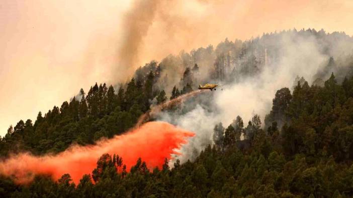 İspanya’dan orman yangını açıklaması: kasten çıkarıldı