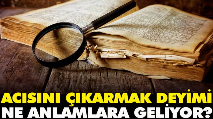 Acısını çıkarmak deyimi ne anlamlara geliyor?