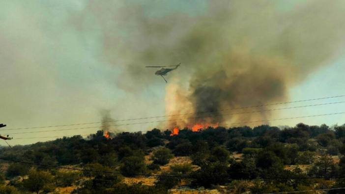 Yunanistan'daki orman yangınları 3 gündür devam ediyor