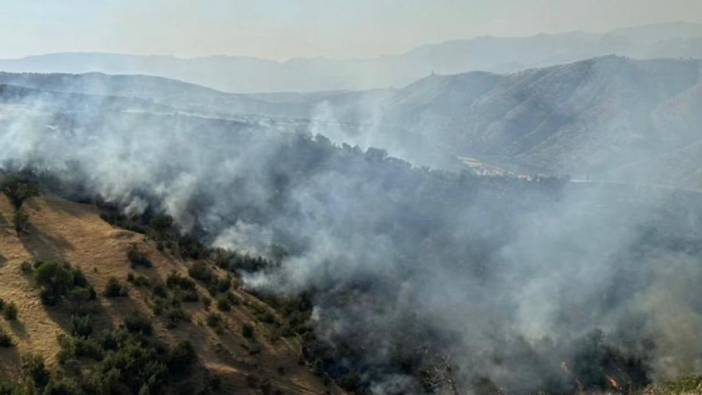 Cudi Dağı'ndaki orman yangını kontrol altına alındı