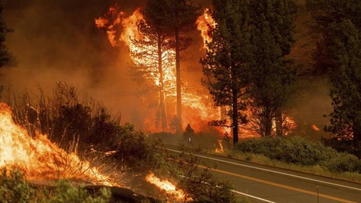 ABD'de orman yangınlarında ölü sayısı 2'ye yükseldi