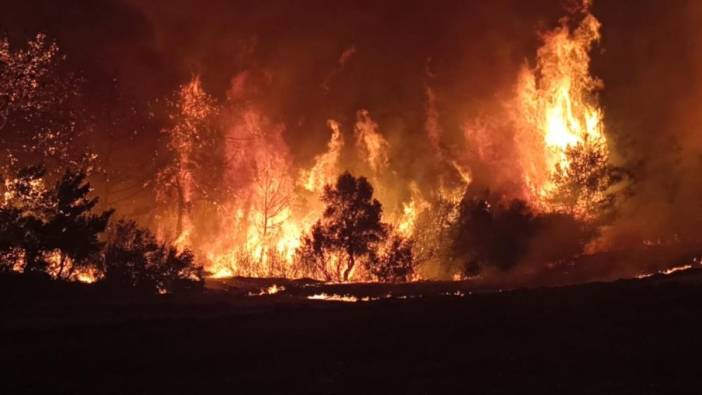 Çanakkale’de orman yangınıyla mücadelede kritik saatler: İnşallah sabaha kadar kolaylamış oluruz