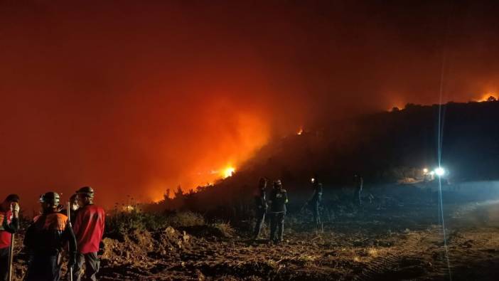 Yenişehir’de orman yangını kısmen kontrol altına alındı