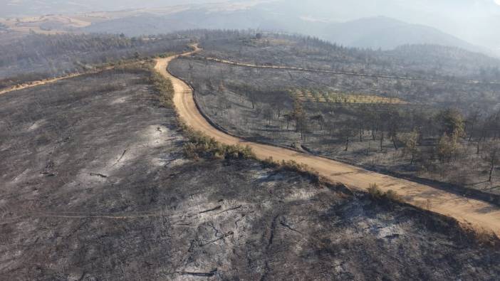 Bilecik ve Bursa'daki orman yangını 18'inci saatinde kontrol altına alındı