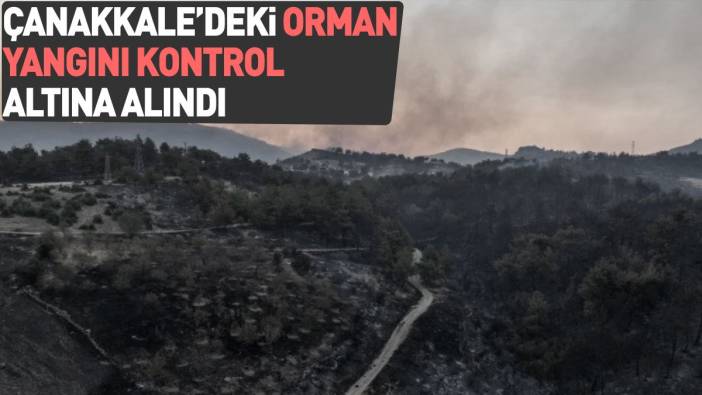 Çanakkale'deki orman yangını kontrol altına alındı (24 Ağustos 2023)