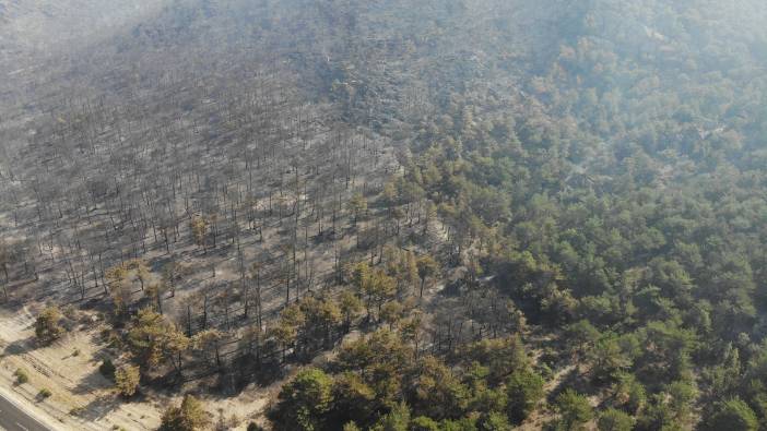 Eskişehir’deki orman yangını kontrol altına alındı