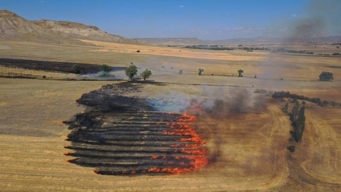 Sivas'ta anız yangınında 4 bin dönümlük alan kül oldu