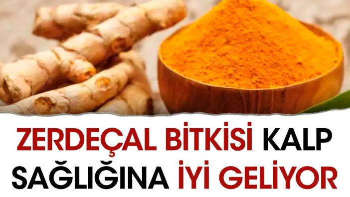 Kalp sağlığına iyi geliyor. Bitkinin faydaları