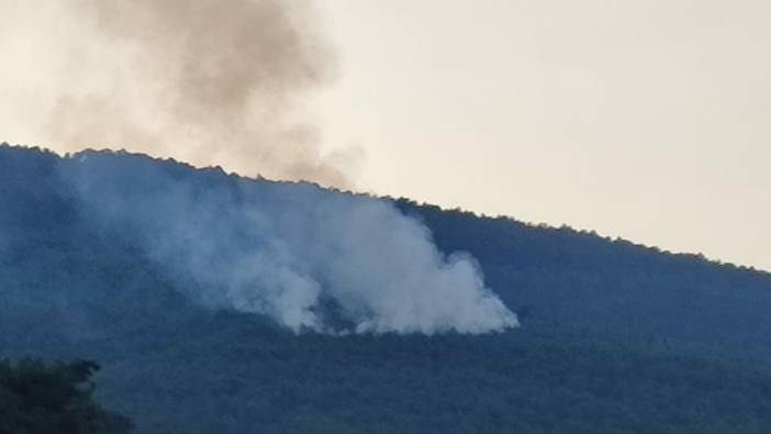 İzmir'de düşen yıldırım ormanı yaktı