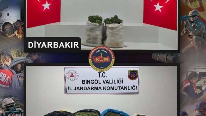Diyarbakır ve Bingöl'de terör örgütüne uyuşturucu darbesi