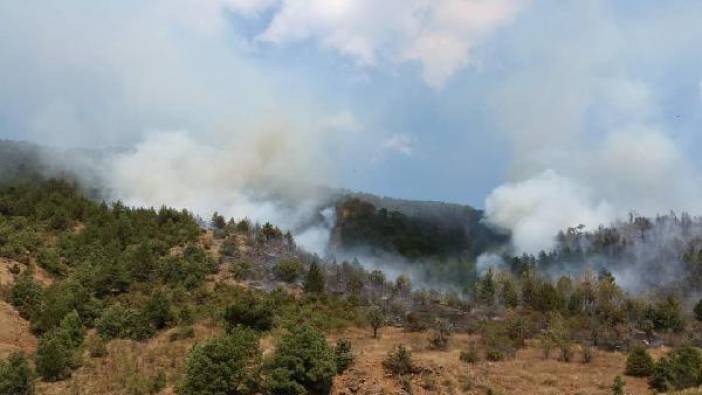 Çankırı'da orman yangını