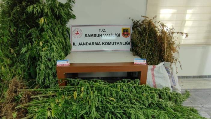 Samsun'da uyuşturucu operasyonu: 13 kilo uyuşturucu ile yakalandı