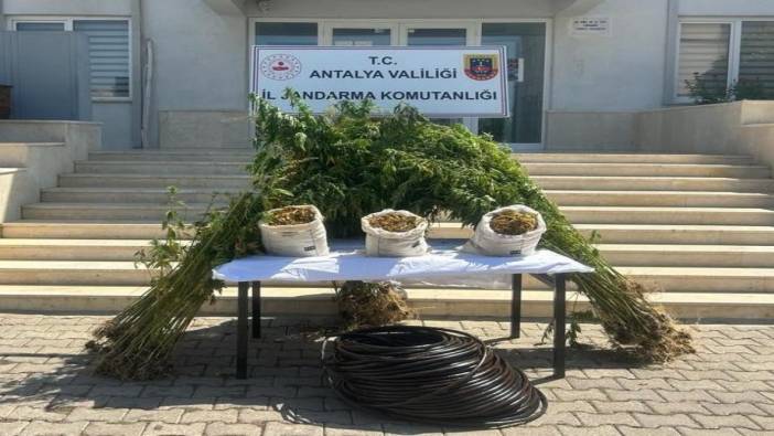 Antalya'da ormanlık alanda uyuşturucu operasyonu