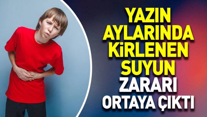 Yazın aylarında kirlenen suyun zararı ortaya çıktı