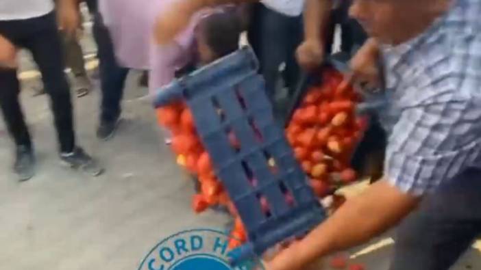 Çiftçiler kasa kasa domatesi döküp Erdoğan'a seslendi. "Boykota devam"