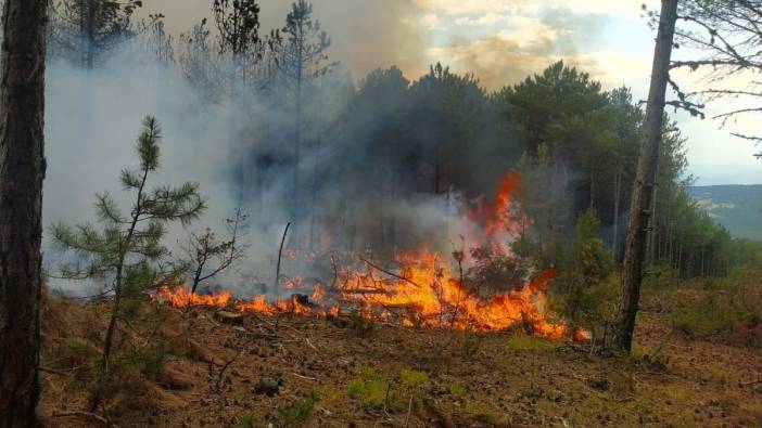 Kütahya'da orman yangını büyümeden kontrol altına alındı