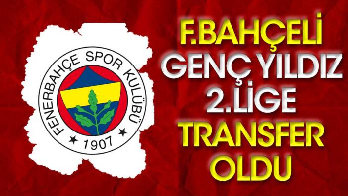 Fenerbahçeli genç yıldız 2. Lig'e transfer oldu