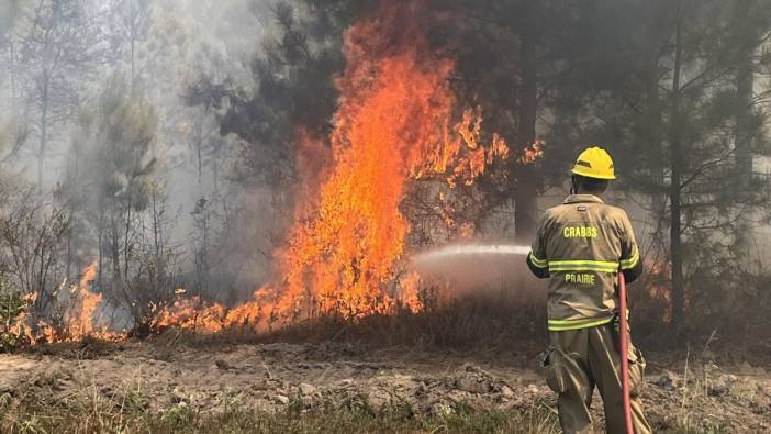 Teksas'ta orman yangını alarmı. 4 bin dönüm orman kül oldu