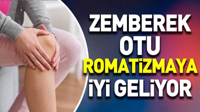 Romatizmaya iyi gelen mucize bitki