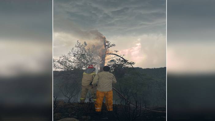 Muğla'da bir günde 36 tane yıldırım yangını oldu