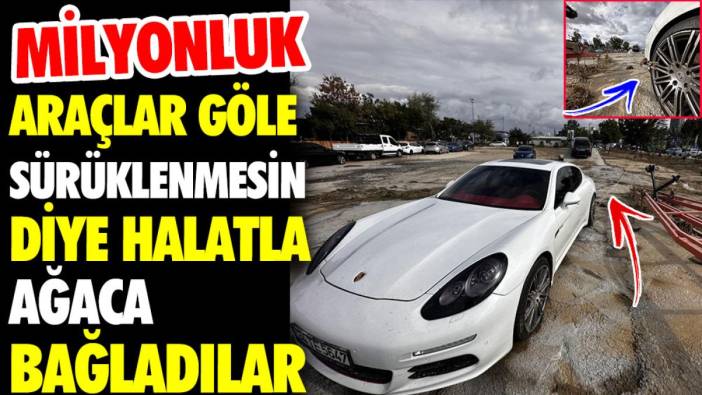 Milyonluk araçlar göle sürüklenmesin diye ağaca bağladılar