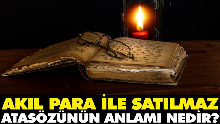 Akıl para ile satılmaz atasözünün anlamı nedir?