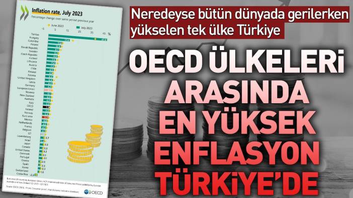 OECD ülkeleri arasında en yüksek enflasyon Türkiye'de