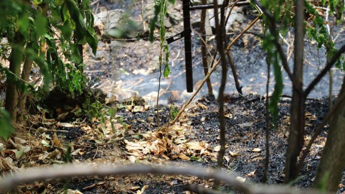 Taşova’da örtü yangını ormana sıçramadan söndürüldü