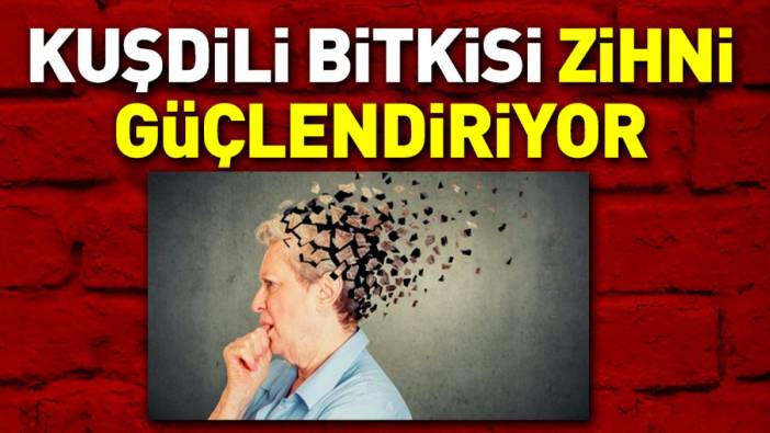 Zihni güçlendiren bitki