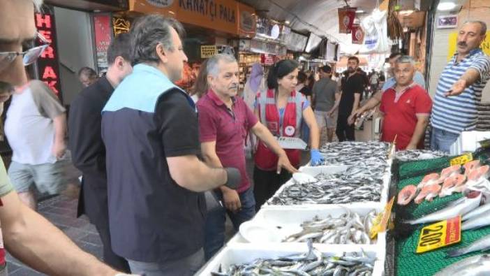 İstanbul'da balık boyu denetimi