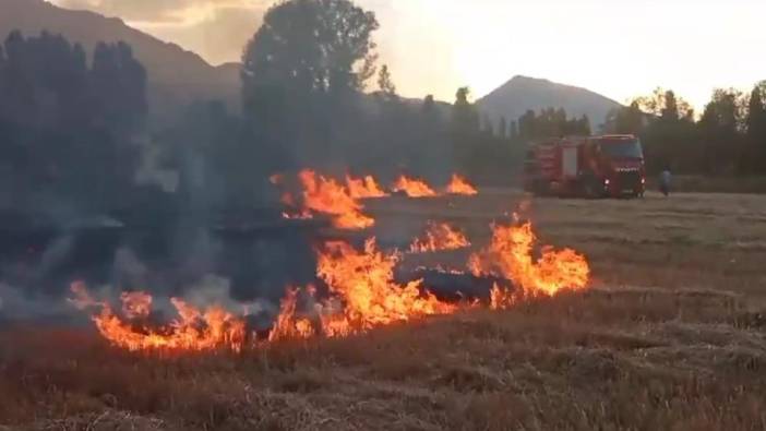 Erzincan'da anız yangını