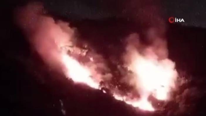 İstanbul'daki orman yangını güçlükle kontrol altına alındı. 50 dönüm alan yandı