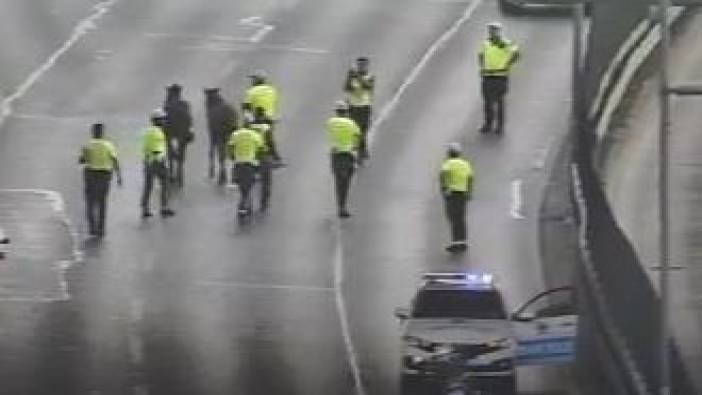 İstanbul'da trafik polisleri at kovaladı