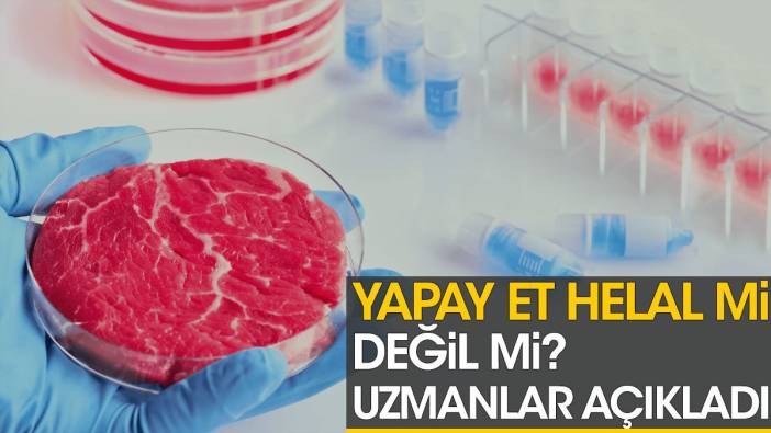 Yapay et helal mi değil mi? Uzmanlar açıkladı