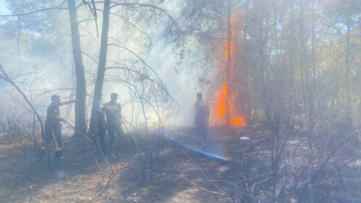 Manavgat’ta başlayan ikinci yangın söndürüldü
