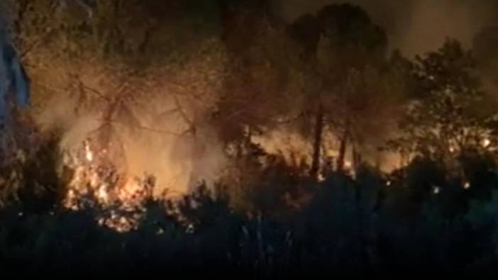 Çekmeköy'de ormanlık alanda yangın çıktı