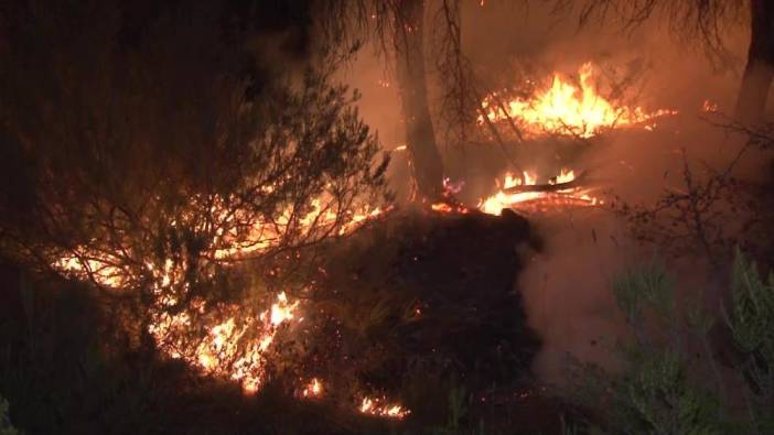 Çekmeköy'deki ormanlıkta çıkan yangın söndürüldü